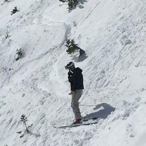 Meet your Posher, Bill